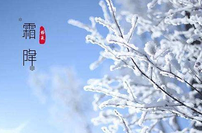 葉落草枯，秋晚凝霜