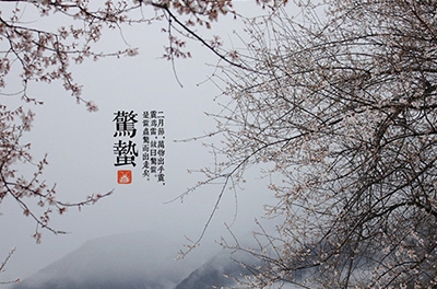 春雷起，驚蟄出